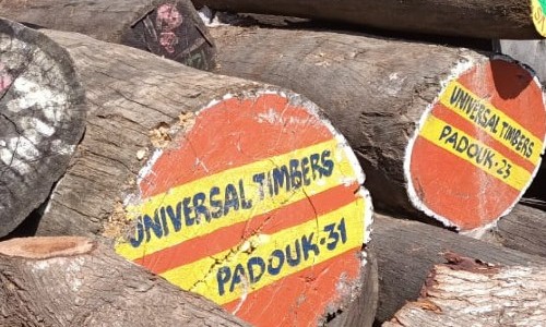 Universal Timbers